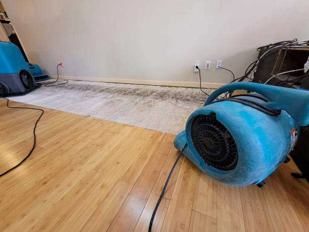 Professional Emergency Water Damage technician working in Union, OH